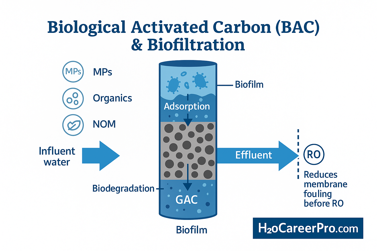 Biofiltration/BAC in water treatment