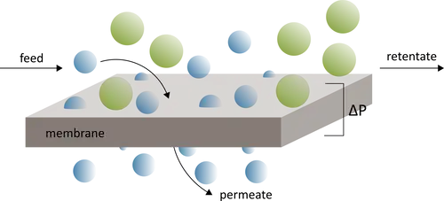Membrane filtration technology in action