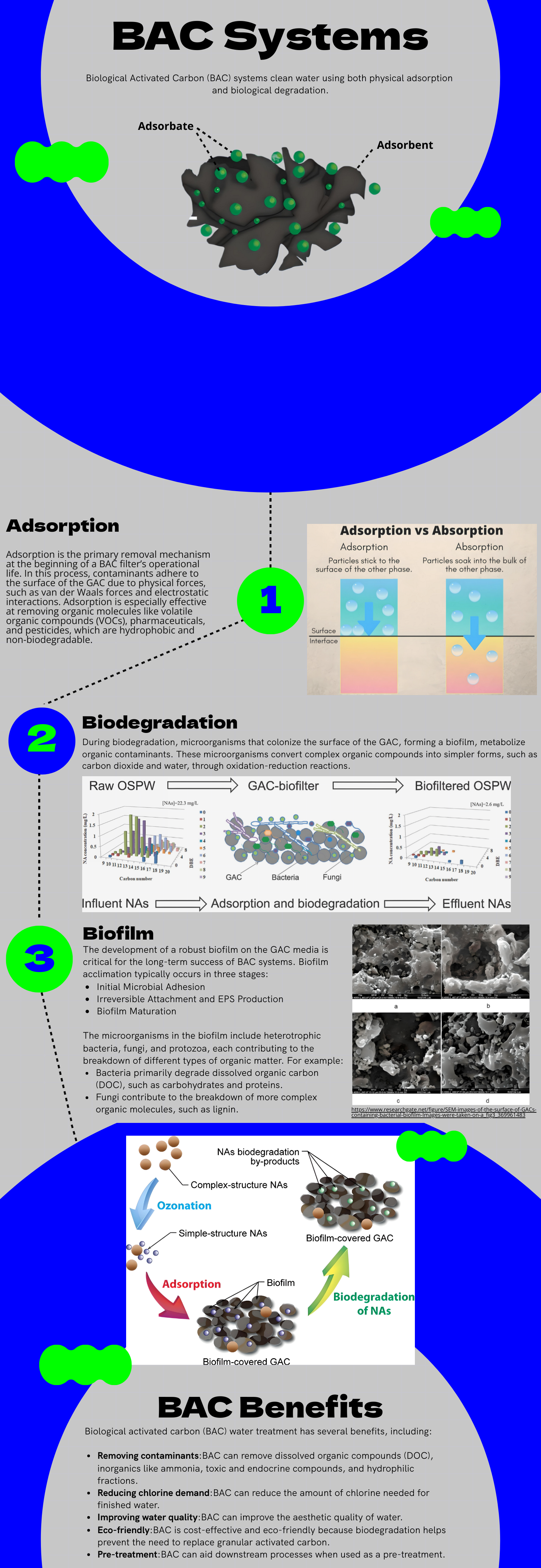 BAC Infographic